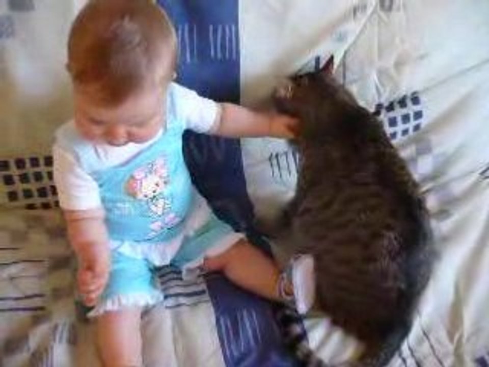 chat