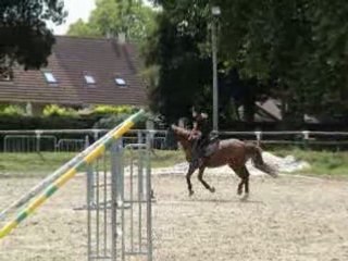 Saut D'obstacle 09.08.08_0001