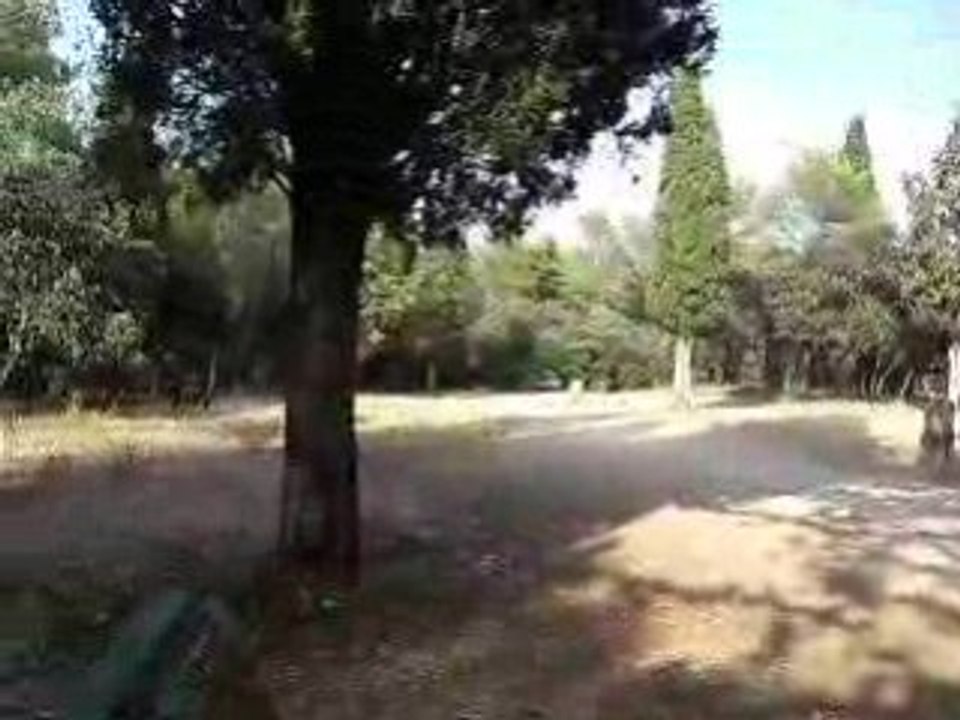 Diosko se défoule