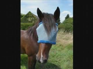 Photos holiday chez moi