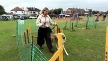 PAWS to watch this! Animal ArkAid hosts Dog Show & Family Fun Day in Garforth