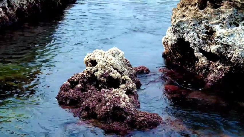 Petit Rocher au Bord de la Mer – Relaxation & Vagues Douces