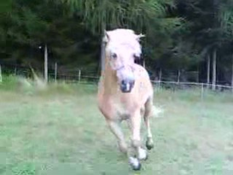 Valentin fait le foufou