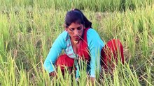 Village Life Desi Lifestyle