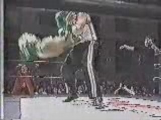 Rey Mysterio Jr. - Double Flip West Coast Pop