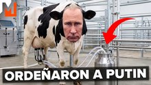 La alucinante operación “LECHE” de Ucrania
