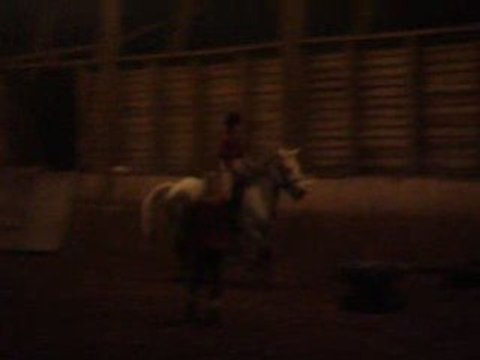 MON Ptit Lou en Cour