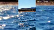 Cafoni autunnali a Palau: dal megayacht sbarcano in spiaggia con gazebo, tavolini e casse a tutto volume