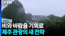 비와 바람을 기회로...제주 관광의 새 전략 / YTN