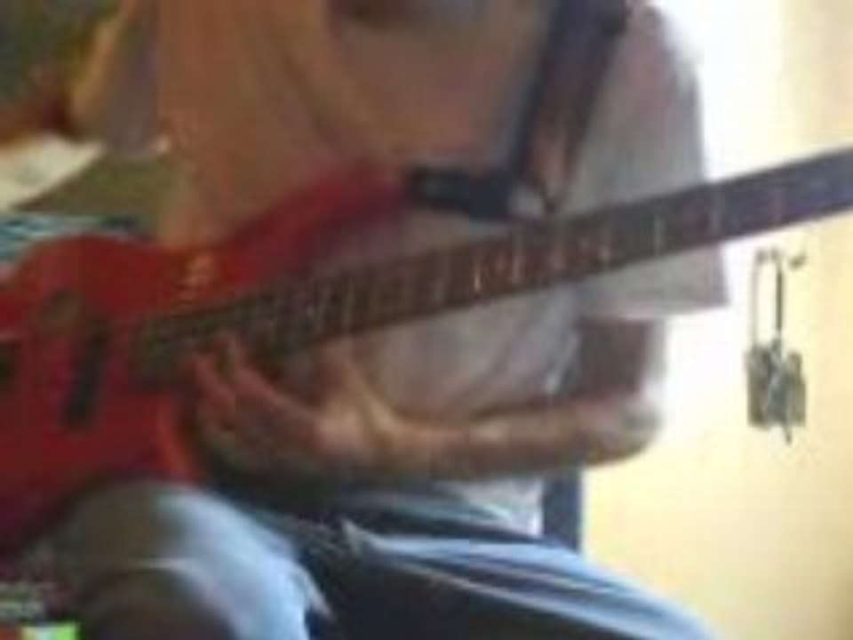 solo flea