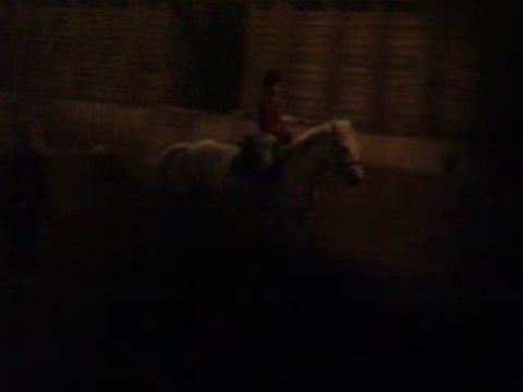 MON Ptit Lou en Cour