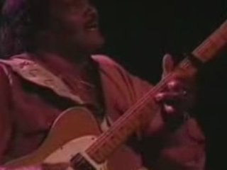 Robert Cray  & Albert Collins - The Dream