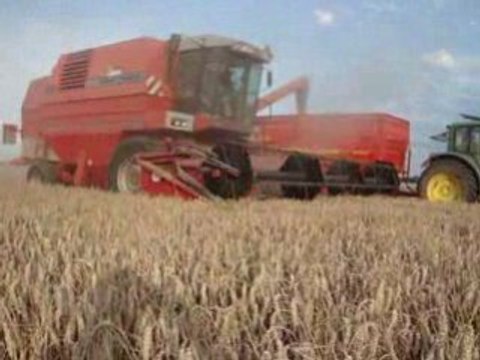 Moisson 2008 en Normandie MF38 Blé