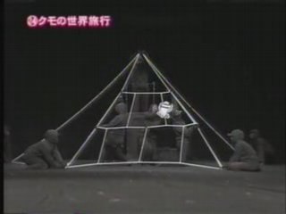 74回24番 クモの世界旅行