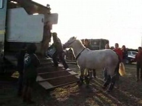 Moi ki monte MON ptit Lou Dan Le camion