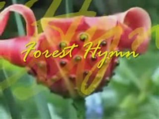 Forest Hymn