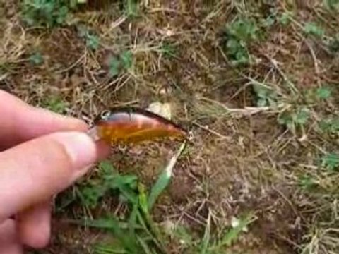 Mini crankbait géologic