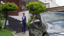 Accidentalmente embarazada del Alfa Película Completa