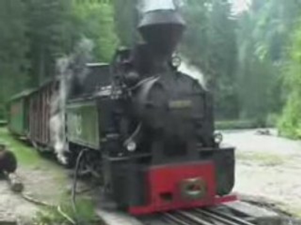 TRAIN A VAPEUR EN ROUMANIE