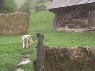 A PIECE OF HEAVEN - SOLITARY NATURE VIDEO CLIP PART II