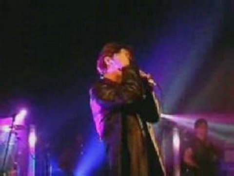 U2 Tribute Bands: Elevation