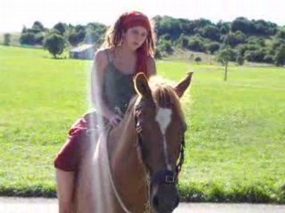 Un petit tour de cheval....