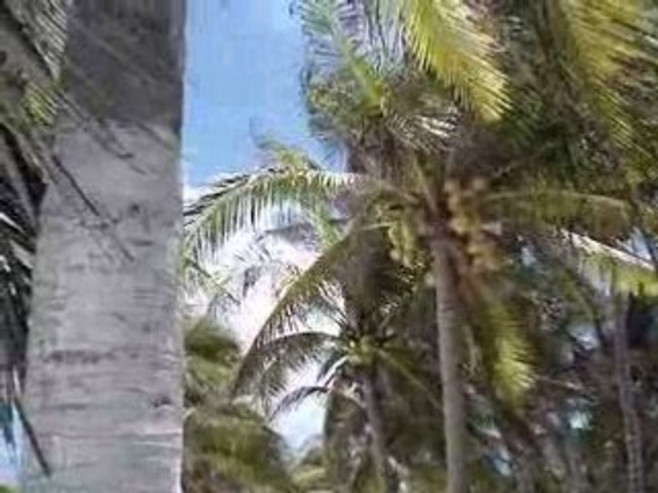 Plage "El Paraiso" Tulum Mexique