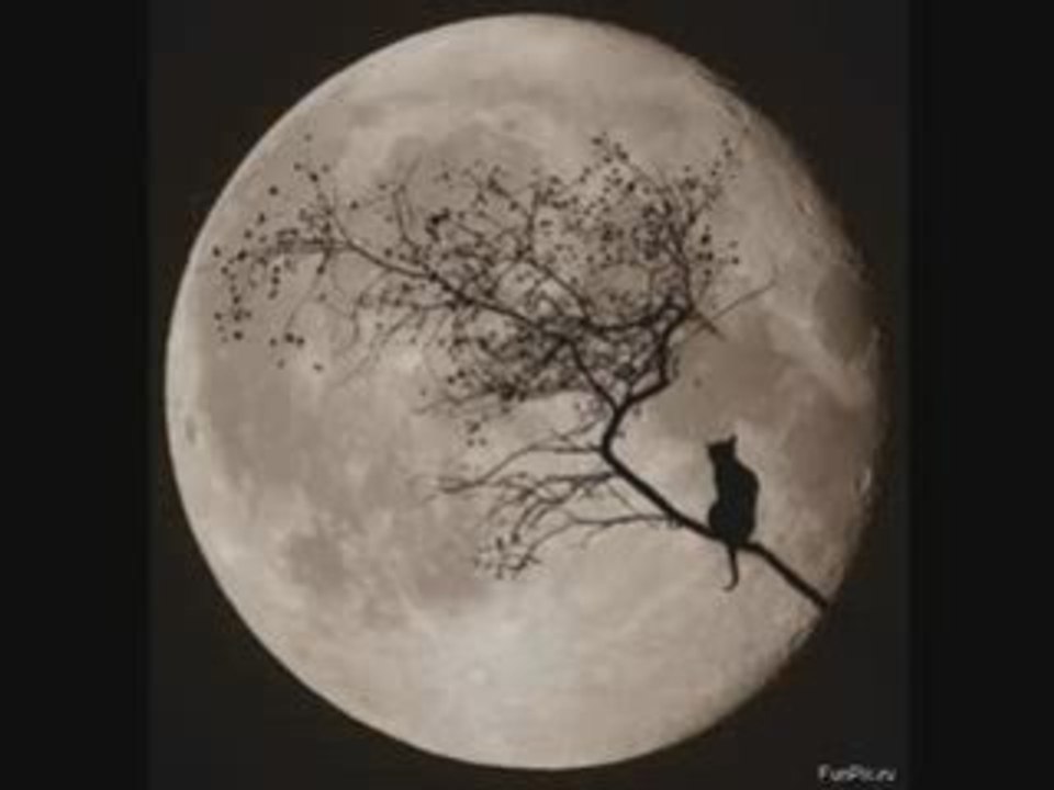 crazy horse Un jour sans toi