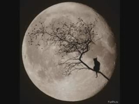 crazy horse Un jour sans toi