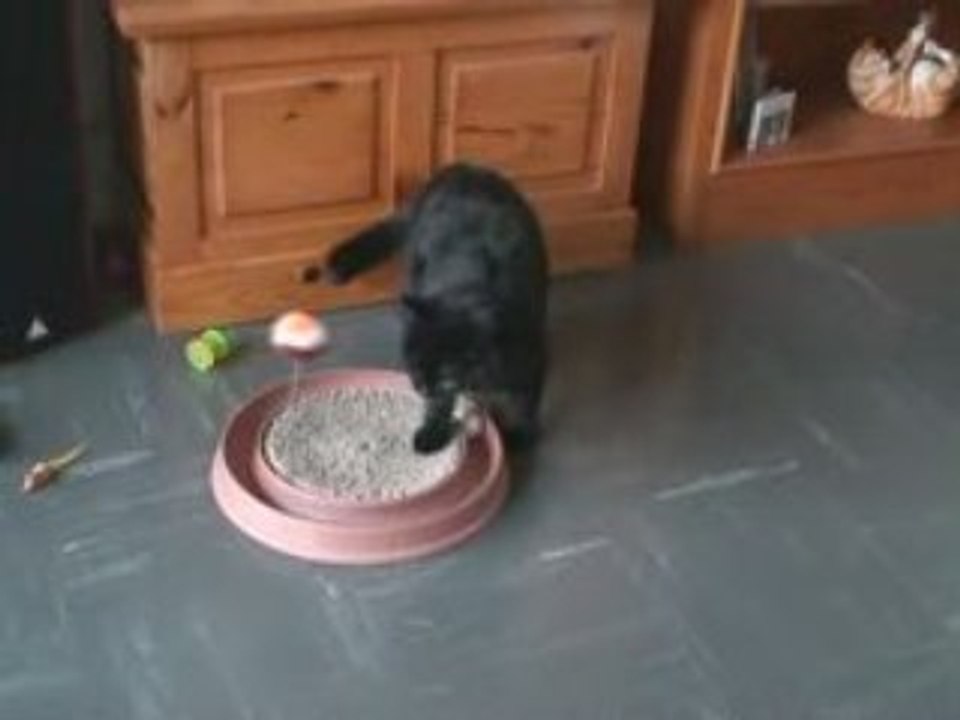 Petite bagarre entre Nina et Lylou