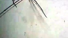 una araña patona bien gorda despues de comer varias moscas #shorts #animales #mascotas #insecto