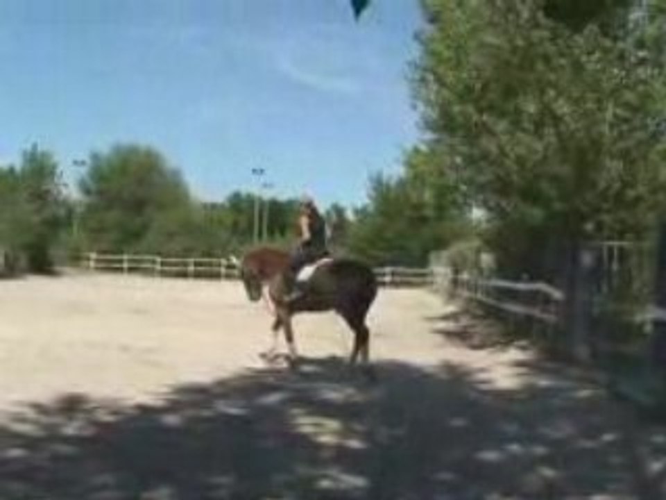 essai piaf 1