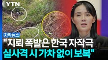 김여정 "북한군은 선 넘은 적 없다...지뢰 폭발은 한국 자작극" [자막뉴스] / YTN