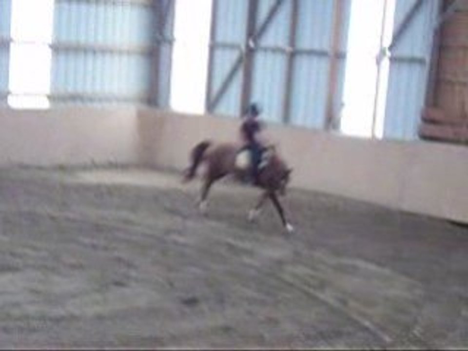 Lexou et Prince