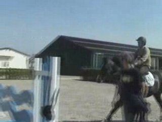 Yegua de 5 años por Heartbreaker