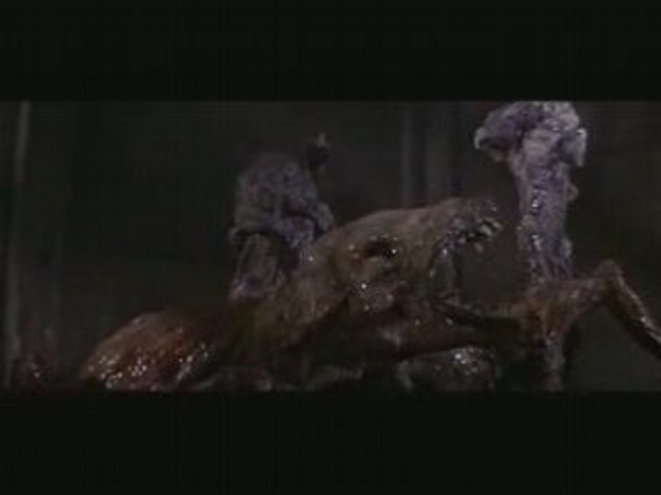 the thing - un chien bizarre