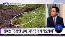 DMZ 北 지뢰 최소 4발 밀집…강신철 “매설된 것”