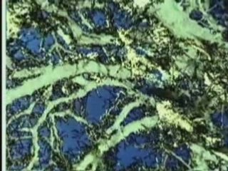 Neurosis - Locust Star