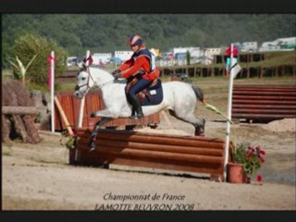 Cross Céline