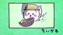 Chiikawa EP338 「古本屋／玉こんにゃく」