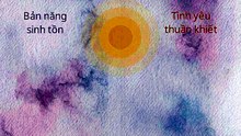 Sự_Thật_Về_Bài_Hát_Loài_Thiêu_Thân