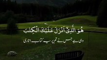 Quran rectiation with beautiful voice  with urdu translation  Allah dailymotion