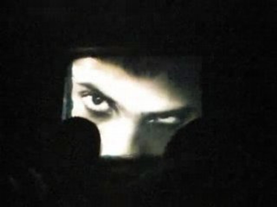 Bellewaerde - houdini