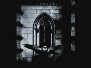 Shiny Toy Guns - Stripped