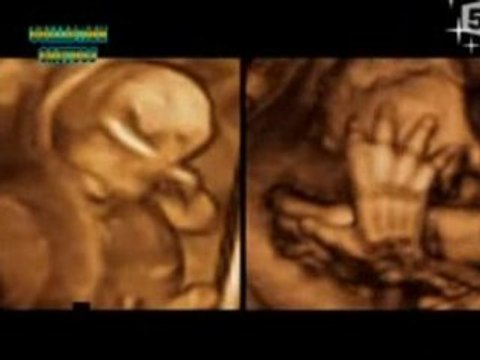 Video VOYAGE AU CENTRE DE LA VIE _ LES MAMMIFERES 4_5