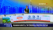 Upaya Pemadaman Karhutla di Jambi Terkendala Padatnya Vegetasi | KOMPAS SIANG