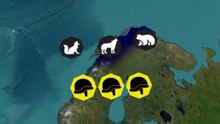 Et si l’Arctique envahissait le monde ?