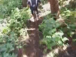 Lulubilue cam embarquer ;)