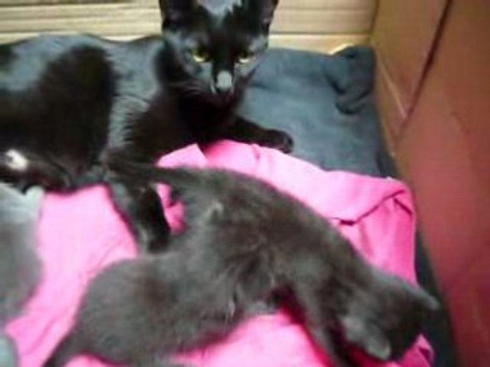 P1030344