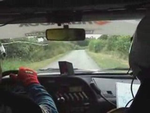 D. Forres / C. Sannier Avesnois 2008 Peugeot 306 Maxi